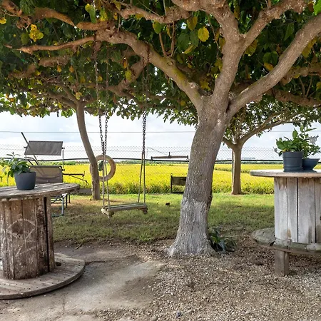 Caseta Montanyana Country house